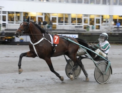 Toreador mål1